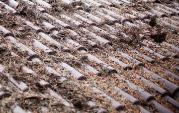 Lower Herne roof cleaning companies