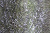 Lower Herne fibreglass roof work